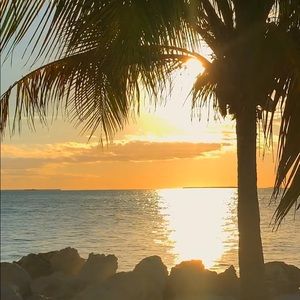 Meet your Posher, Kaylee